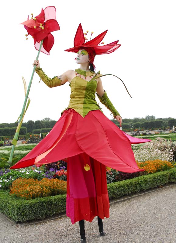 Amaryllis