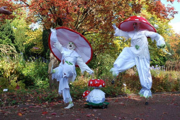 The Happy – Camper – Mushrooms