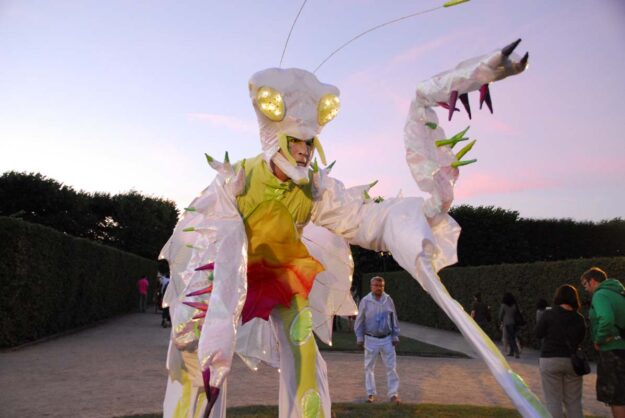 Mantis