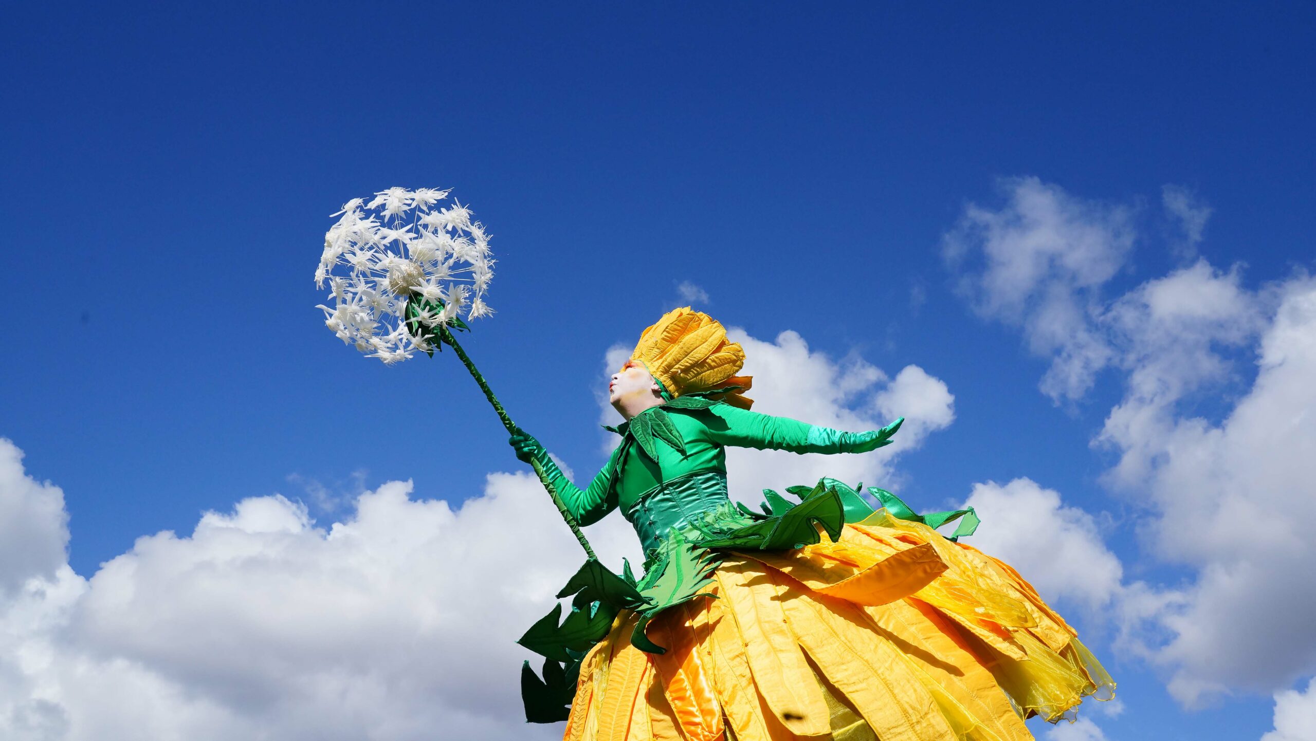 Pusteblume